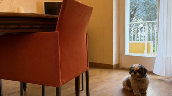 La vostra casa per le vacanze nel cuore di Merano