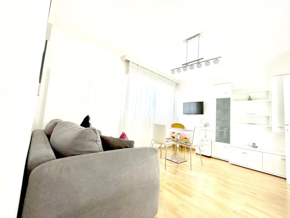 Family Classic Apartment